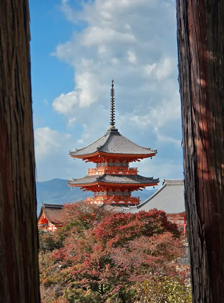 Trzypiętrowa pagoda (Sanju-no-to) w słynnym kompleksie świątynnym Kiyomizu-dera w Kioto. Zjawiskowy widok na tle jesiennych drzew.